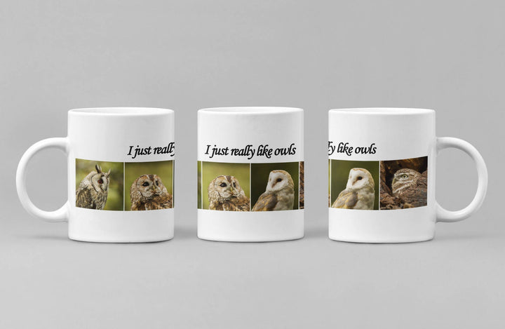 I Really Like Owls Mug