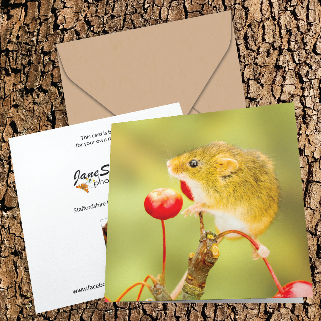 Harvest Mouse On Ornamental Apples Greeting Card