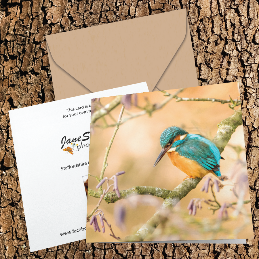 Kingfisher On A Beautiful Winter'S Day Greeting Card