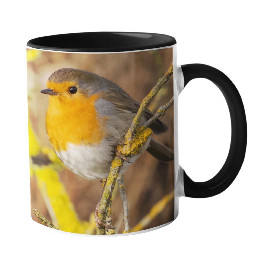 Robin Red Breast Mug