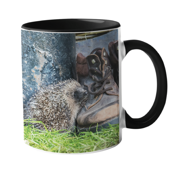 Hedgehog With Boot Mugs