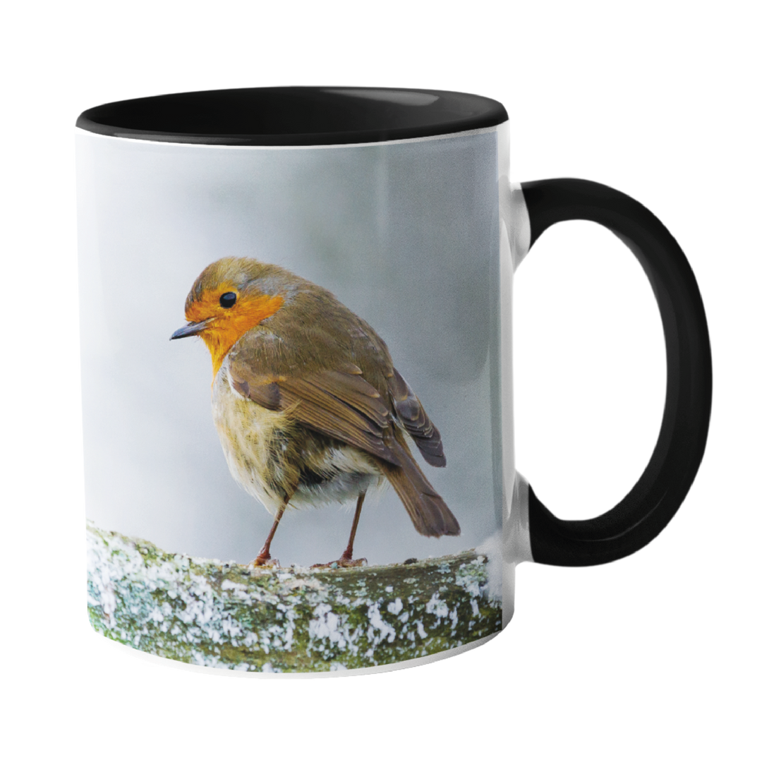 Winter Robin Mugs