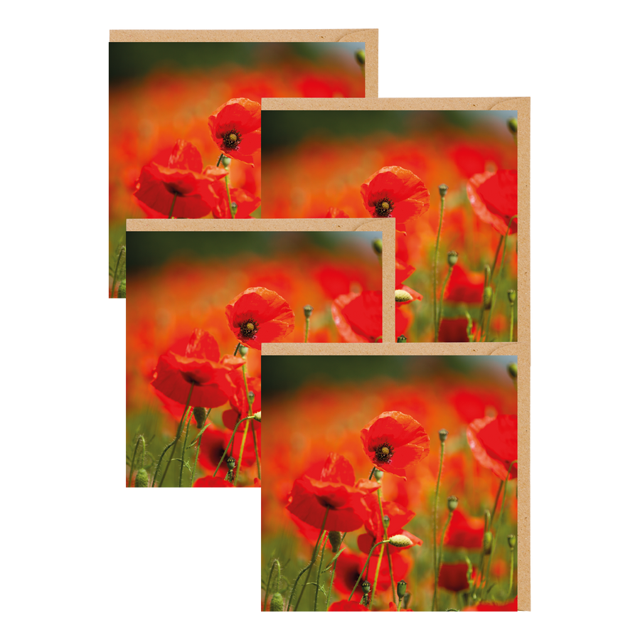 Field Of Poppies Greetings Cards
