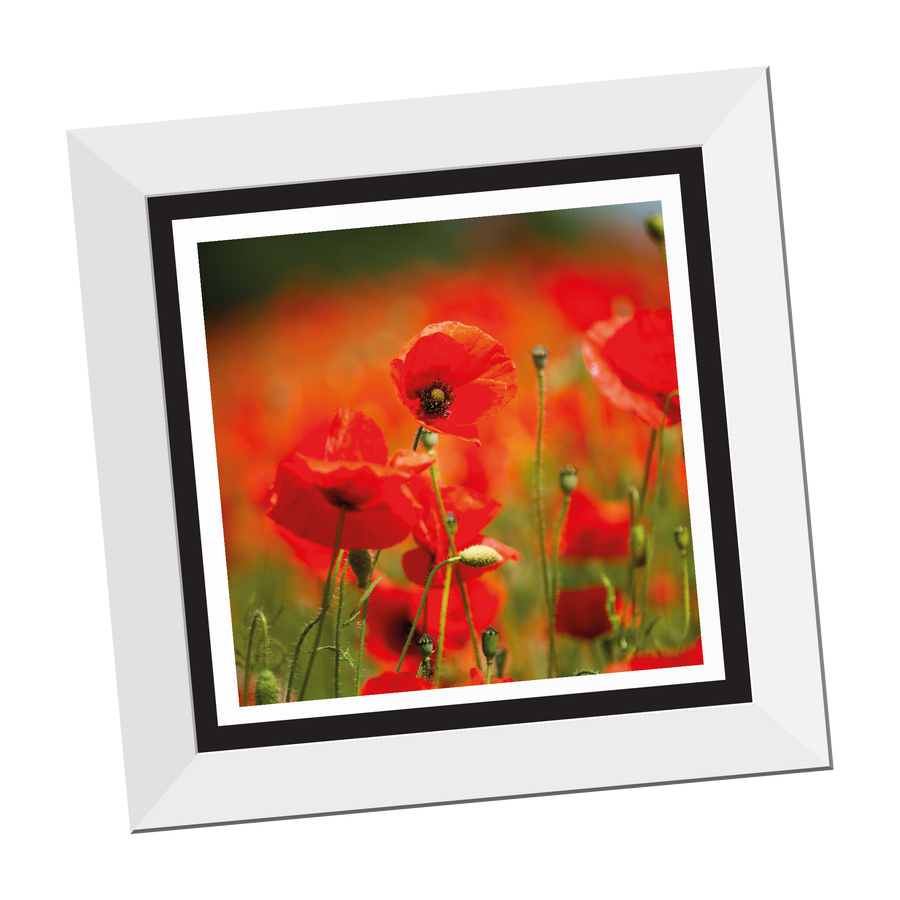 Field of Poppies 12" Framed Print