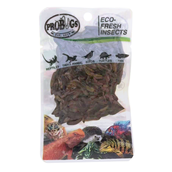 ProBugs Eco Fresh Black Soldier Fly Larvae 20g - 10 Packs
