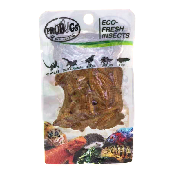 ProBugs Eco Fresh Mealworm 20g - 10 Packs