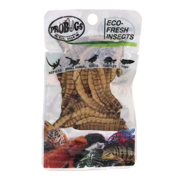 ProBugs Eco Fresh Superworm 20g - 10 Packs