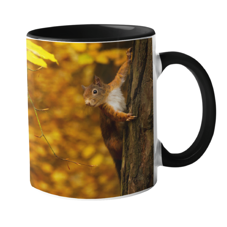 Red Forest Squirrel Mug