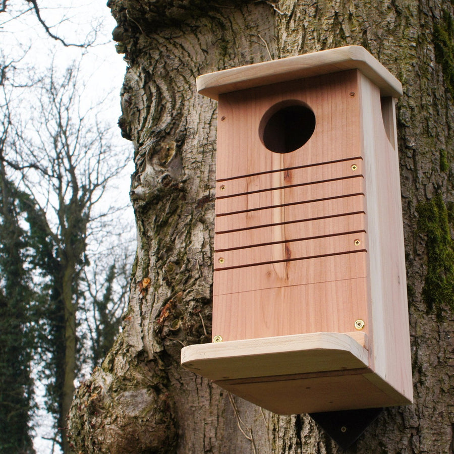Wildlife World Red Squirrel Nest Box