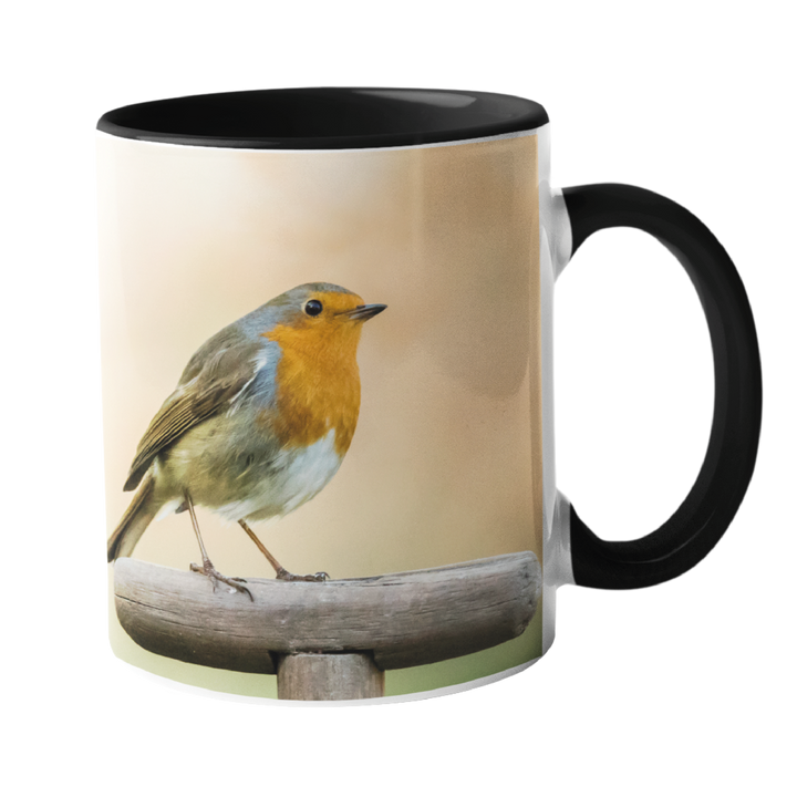 Robin On A Garden Fork Mug