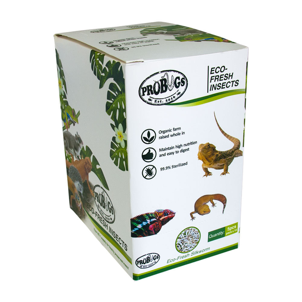 ProBugs Eco Fresh Silkworm 5pcs - 10 Packs
