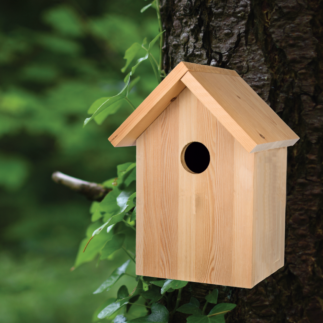 Spiro Bird Nesting Box
