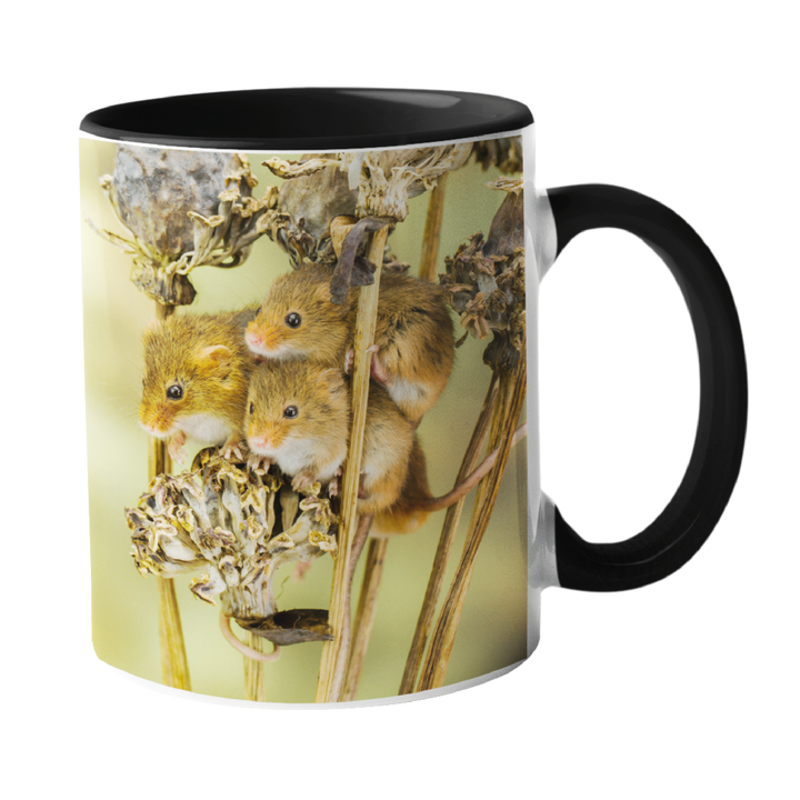 Harvest Mouse Mug