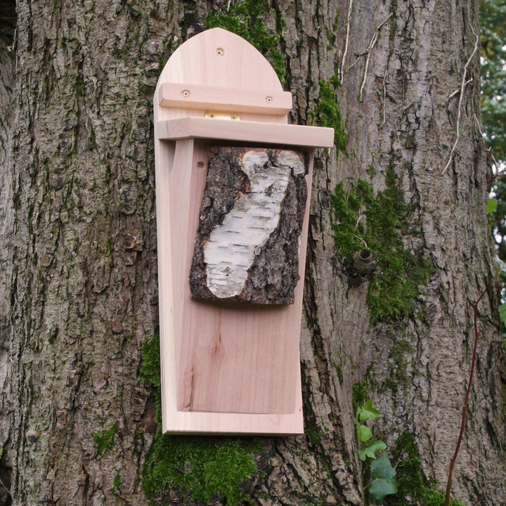 Wildlife World Tree Creeper Nest Box