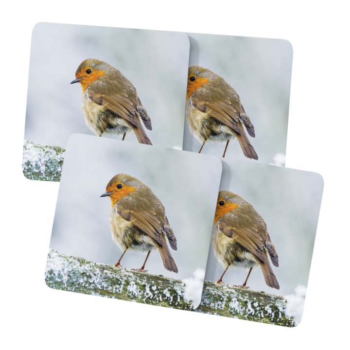 Winter Robins Placemats
