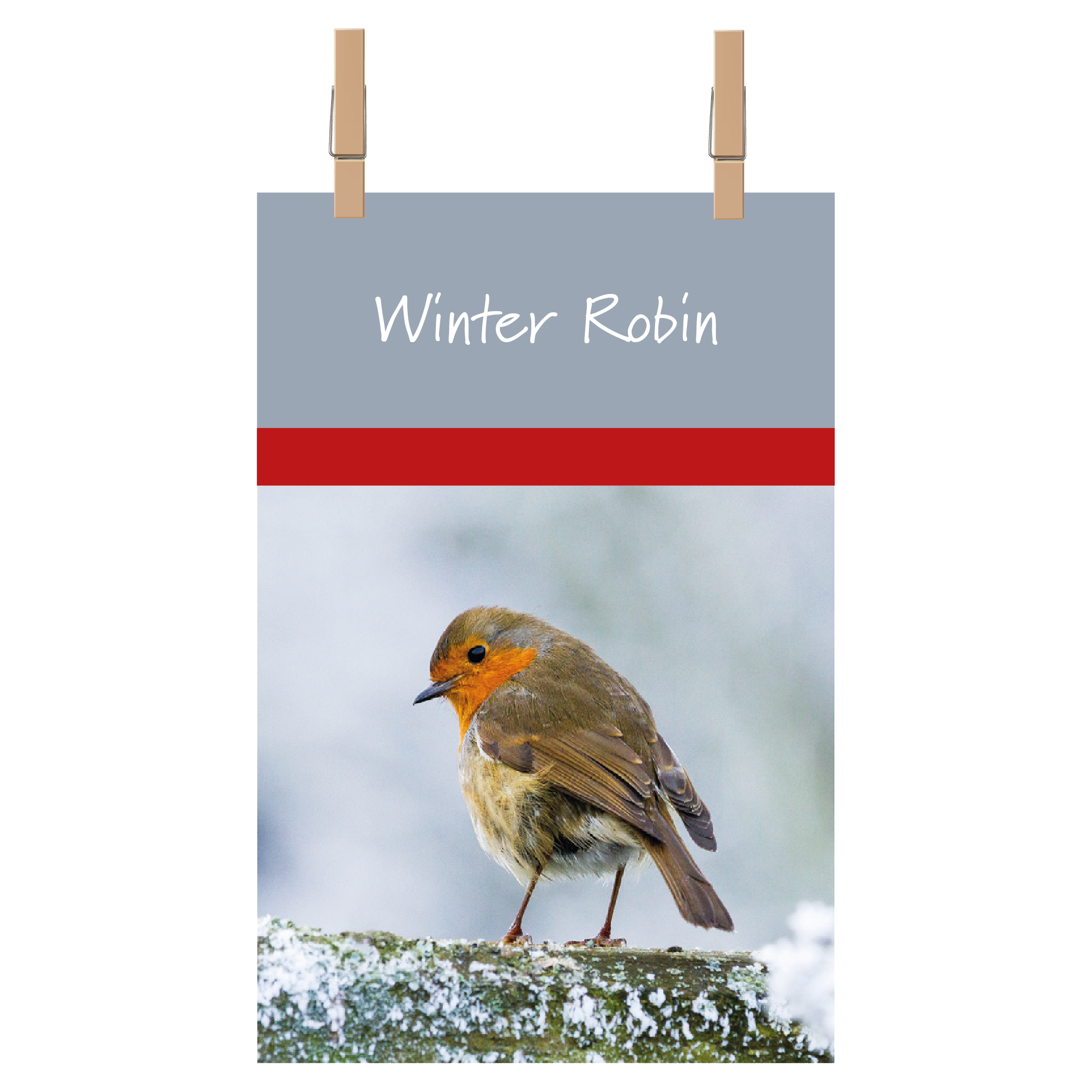 Winter Robin Tea Towel Garden Wildlife