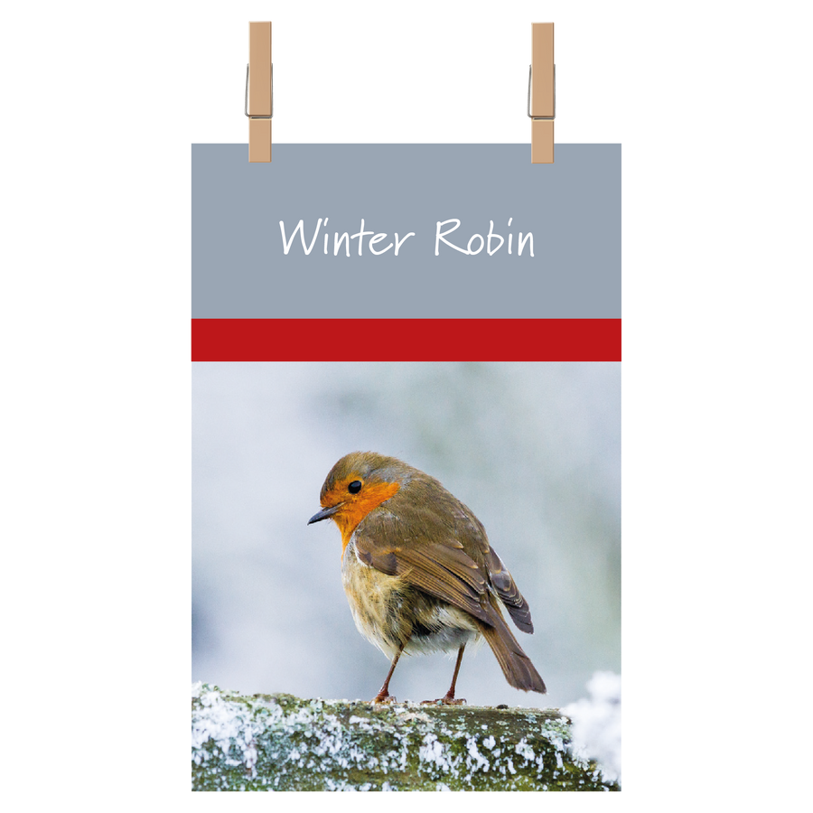 Winter Robin Tea Towel