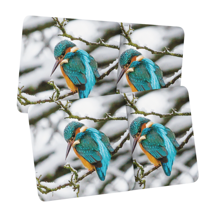 Winter Kingfisher Coasters