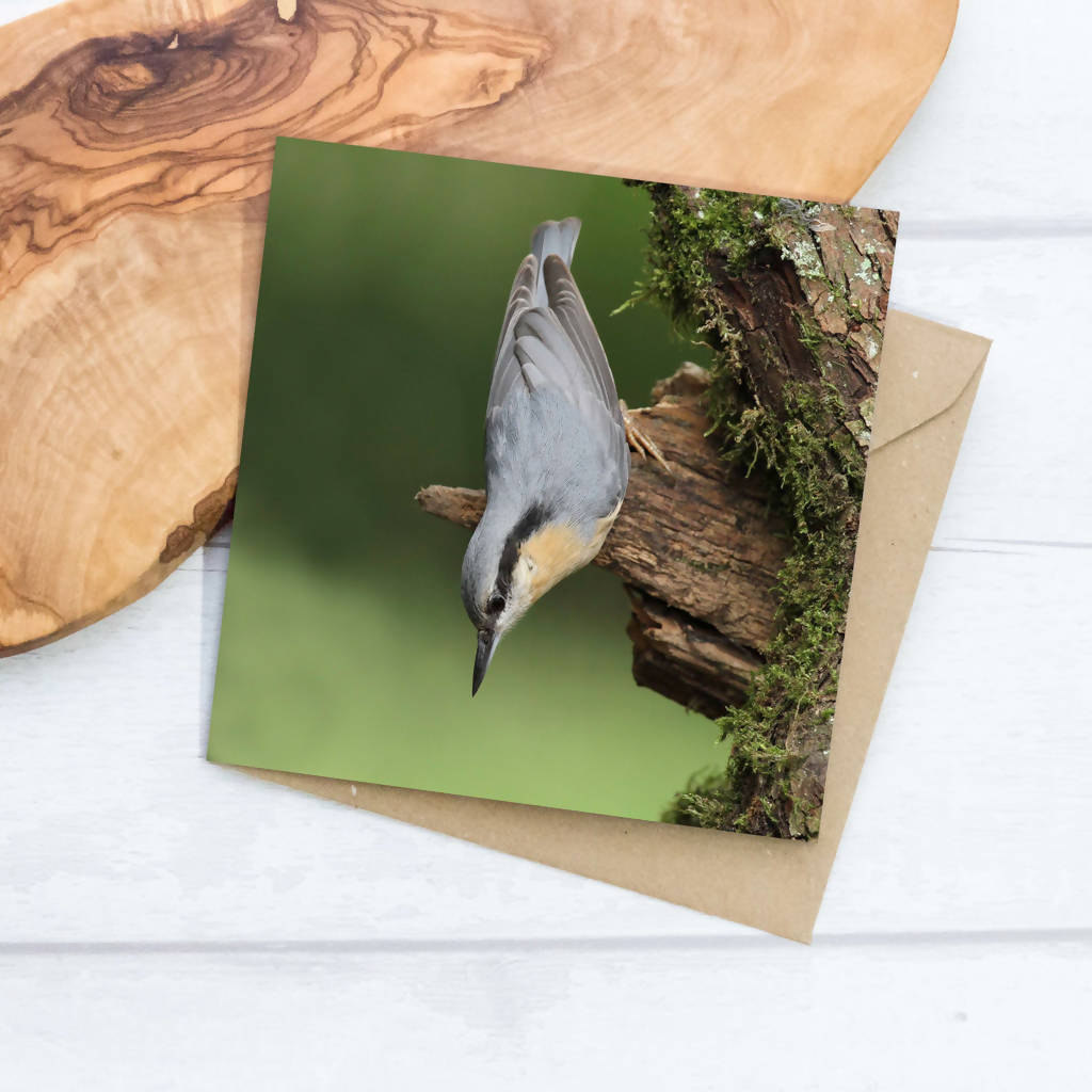 Nuthatch Greeting Card