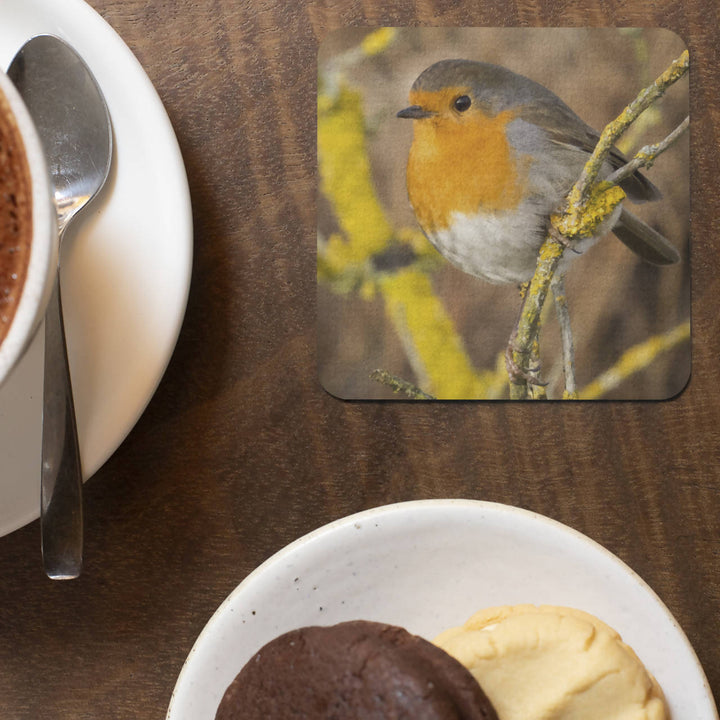 Robin Coaster