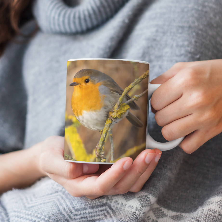 Robin Red Breast Mug