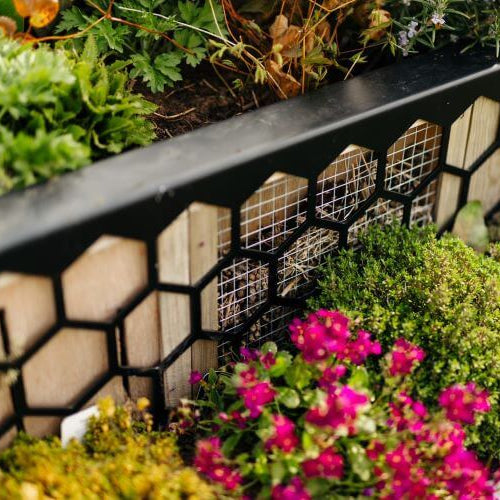 Bioscapes Biocube Bioscapes BioCube Wildlife Planter - Garden Wildlife