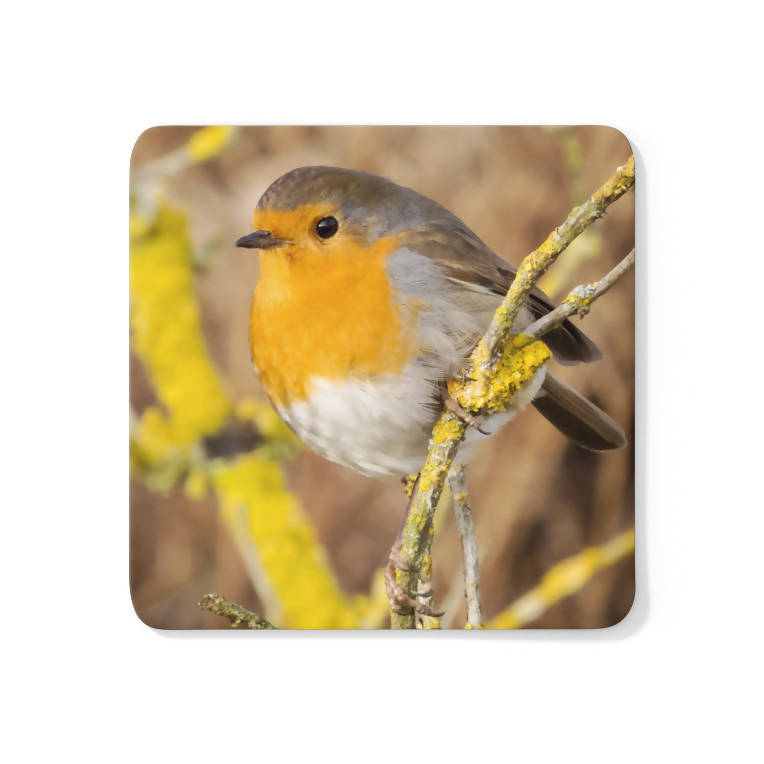 Robin Coaster