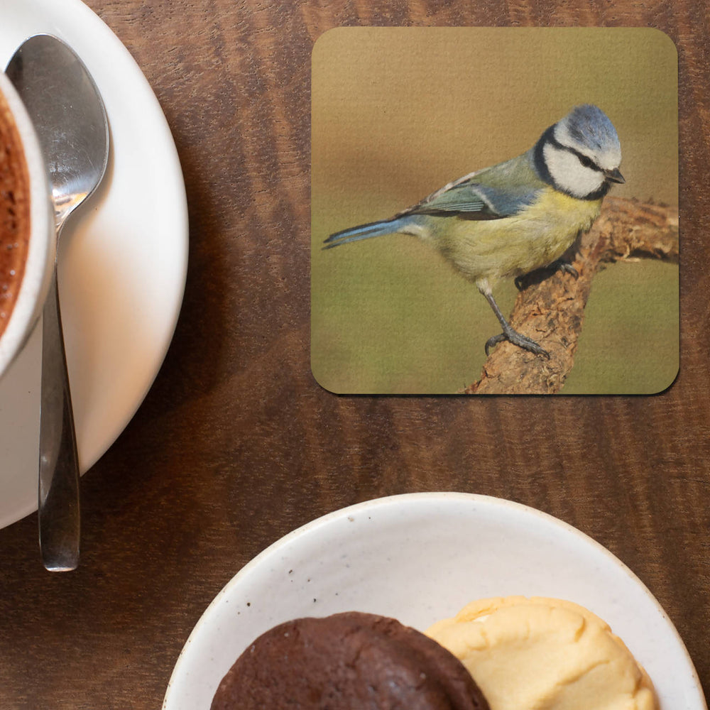 Blue Tit Coaster