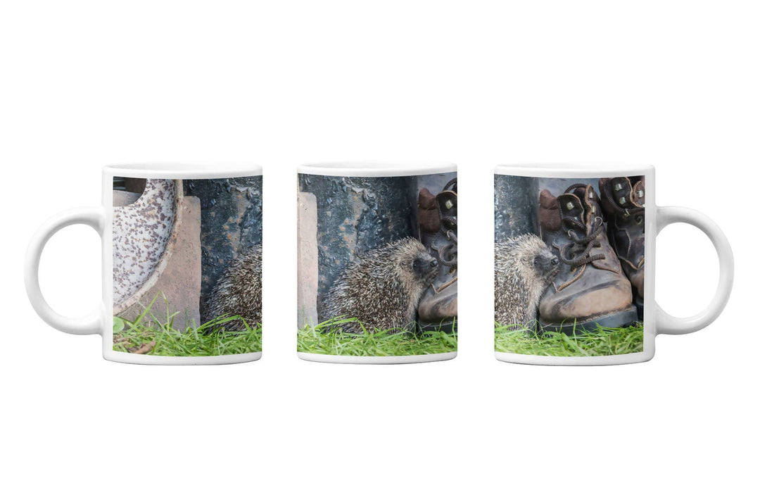 Hedgehog And Old Boots Mug