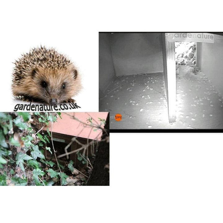 Gardenature Hedgehog Home
