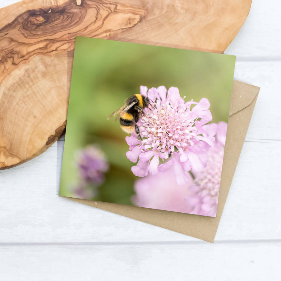 Bee On Scabious Flower Greeting Card