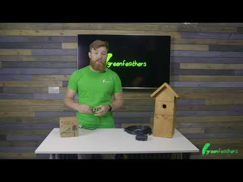 Green Feathers Bird Feeding Station 1080p Camera Bundle