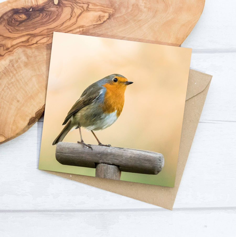 Robin Greeting Card