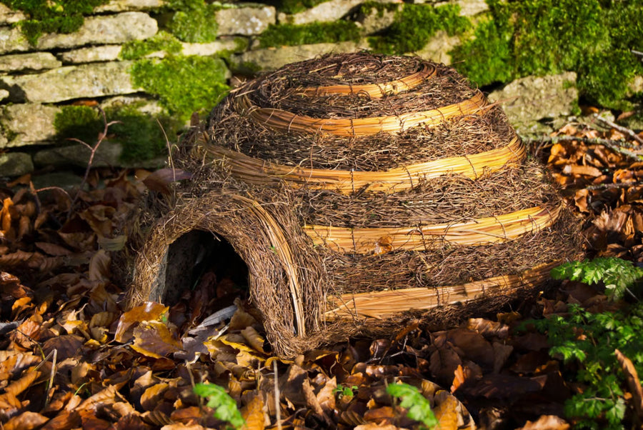 Wildlife World Igloo Hedghog Home