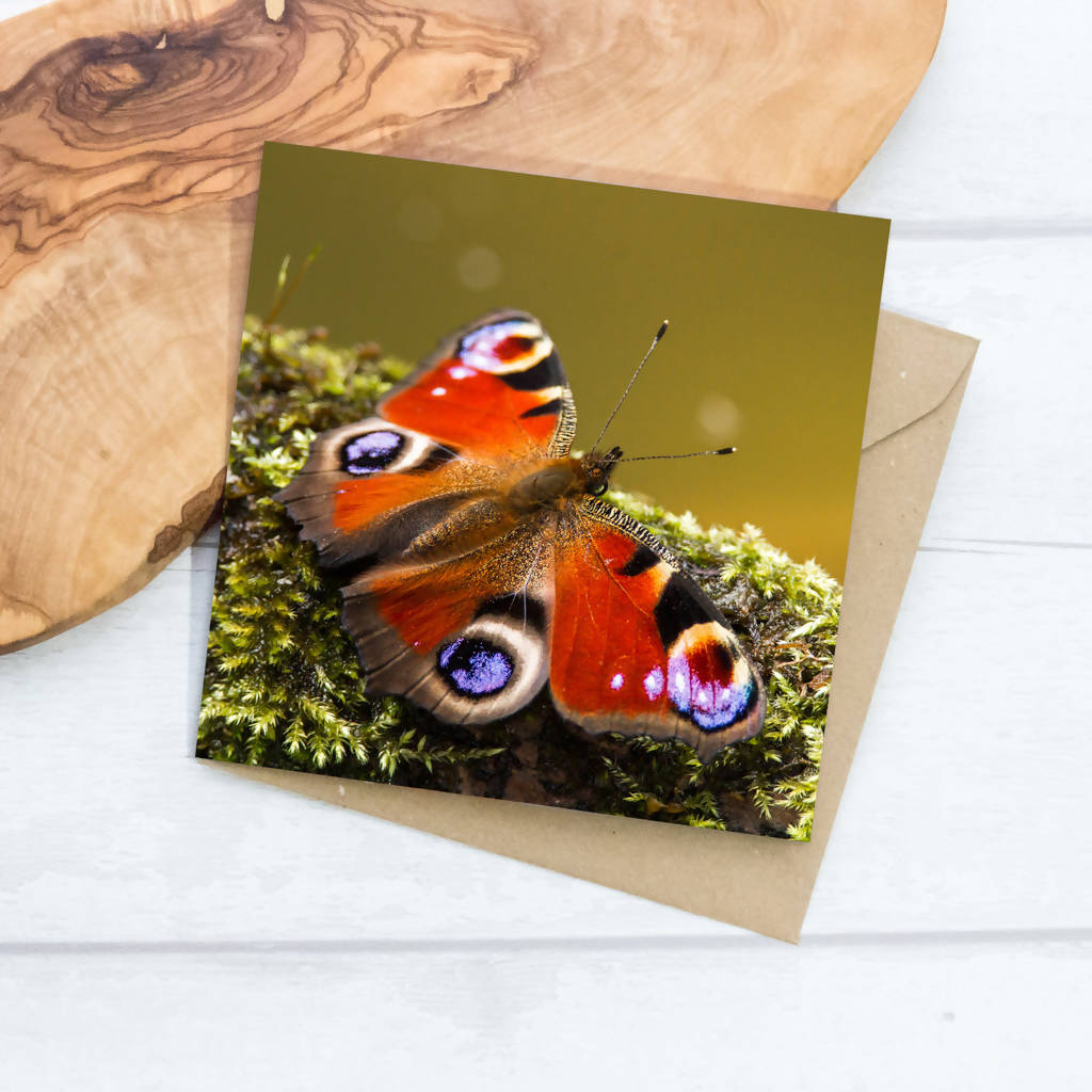 Peacock Butterfly Greeting Card