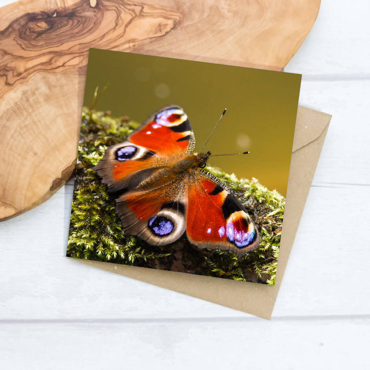 Peacock Butterfly Greeting Card