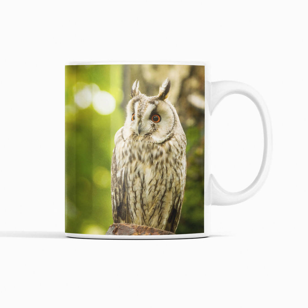 Long-Eared Owl Mug