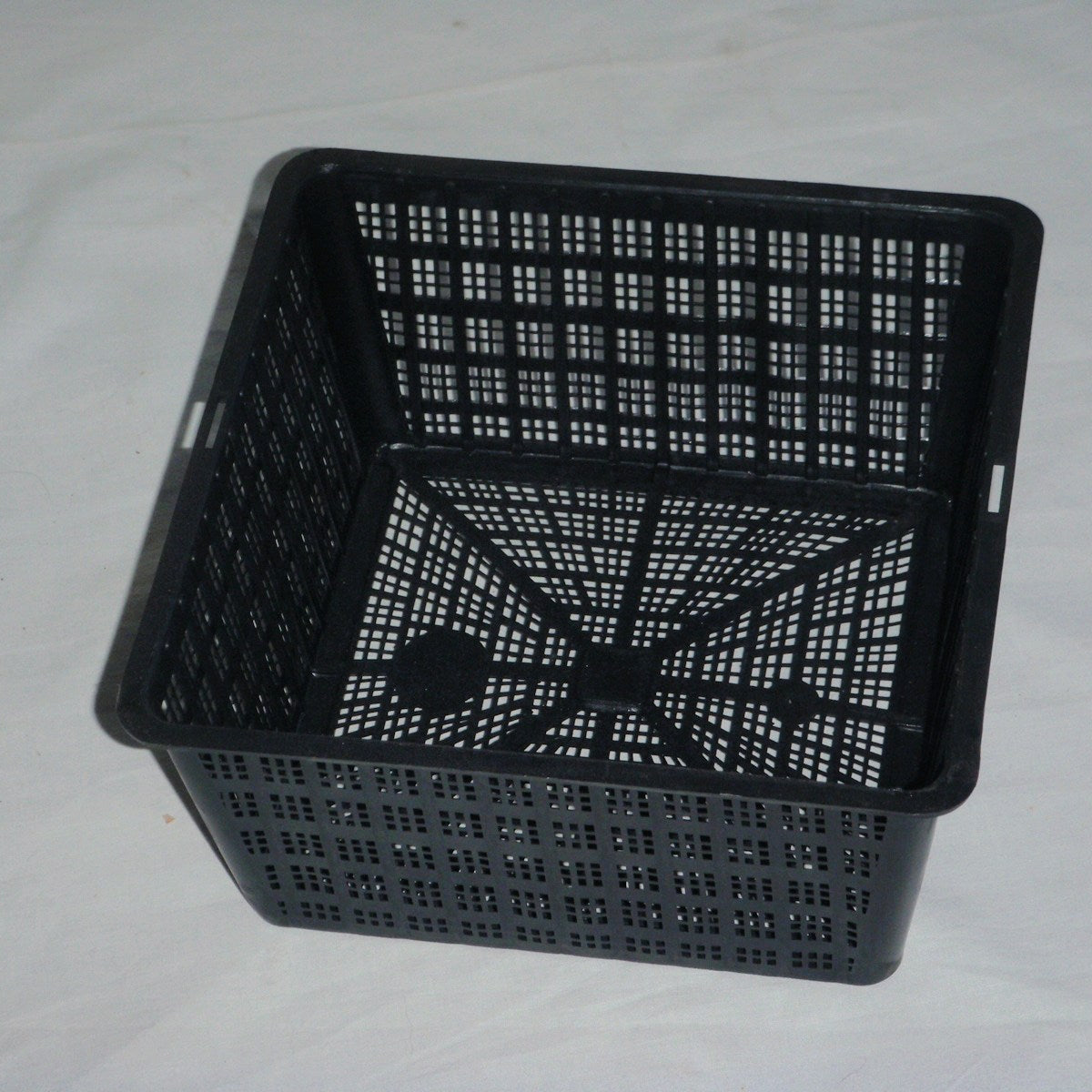 Square Aquatic Pot 19cm - Garden Wildlife