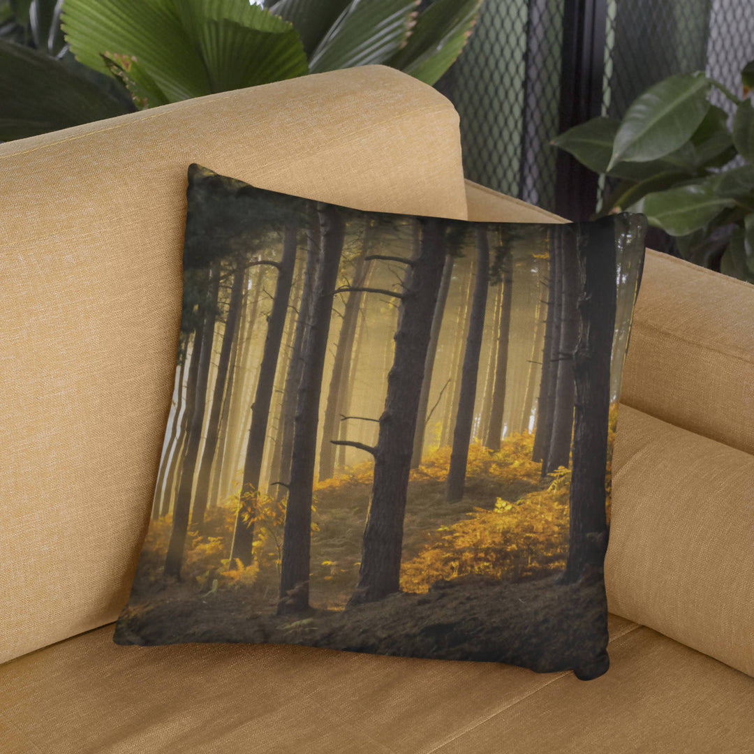 Sunrays Through The Trees Cushion