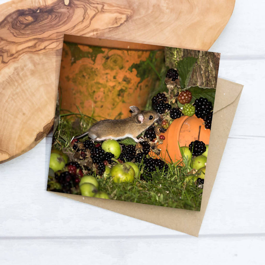 Wood Mouse And Berries Greeting Card