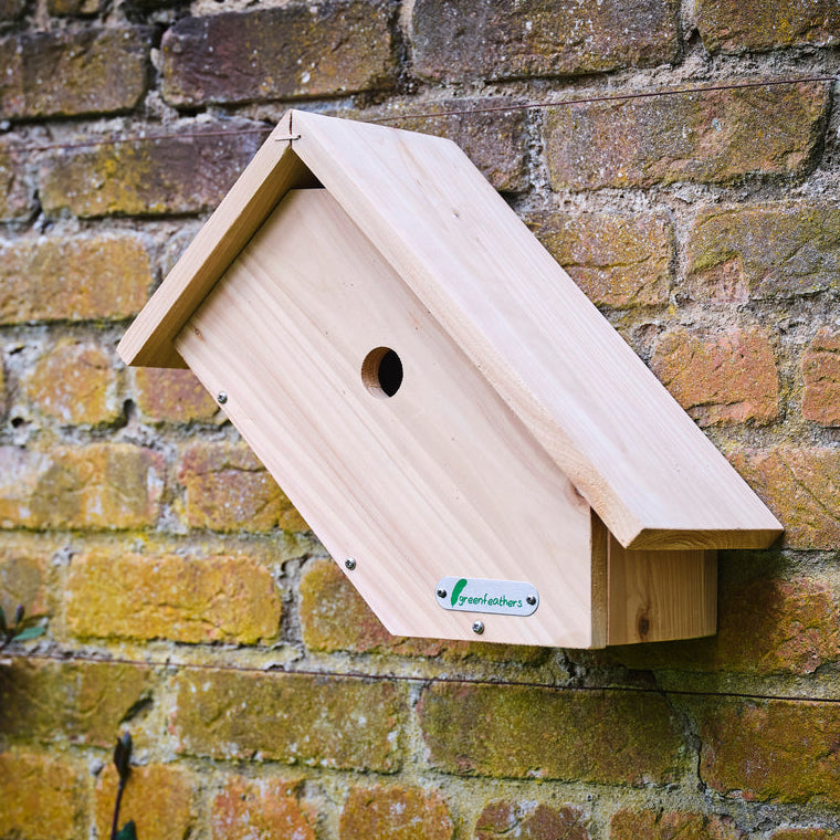 Green Feathers Side View Bird Box