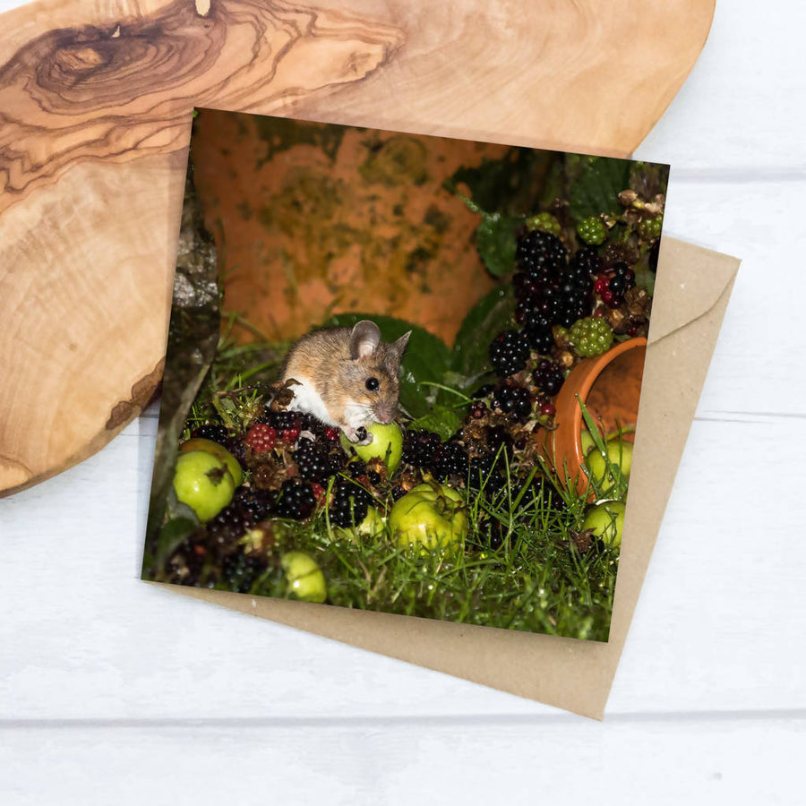Wood Mouse Eating Blackberries Greeting Card