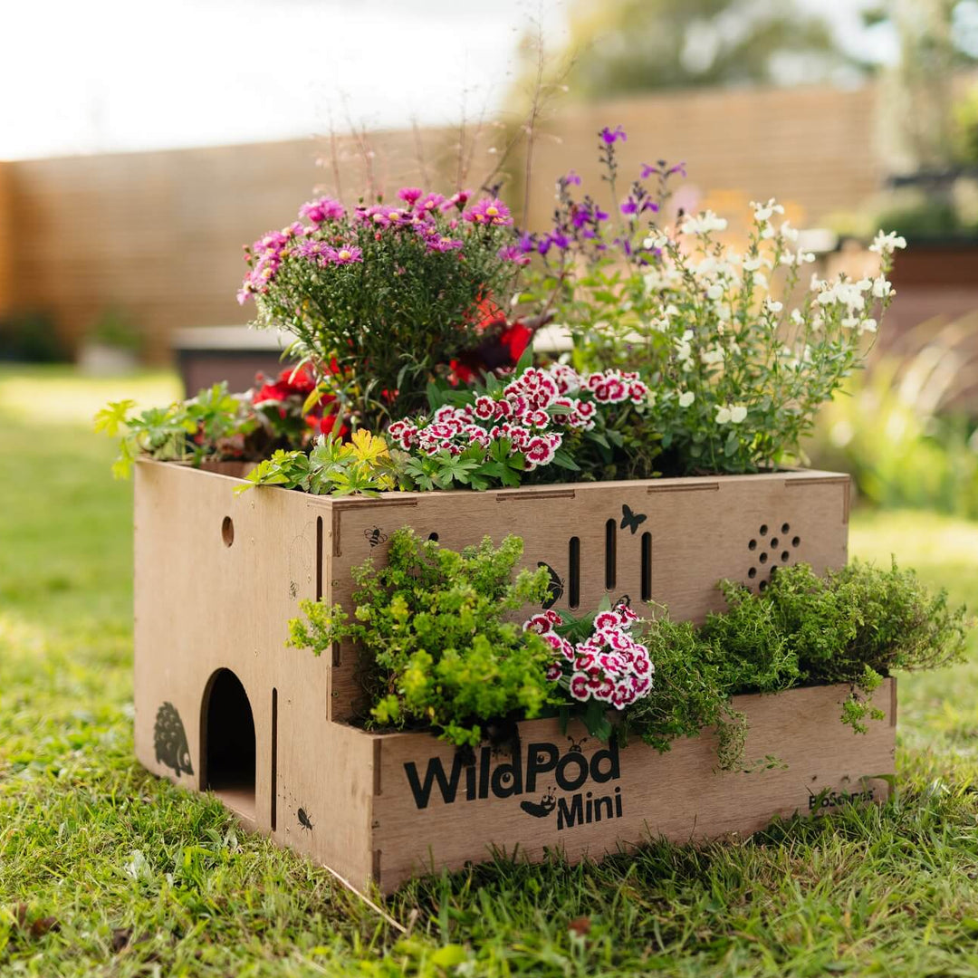 Bioscapes WildPod Mini Wildlife Planter