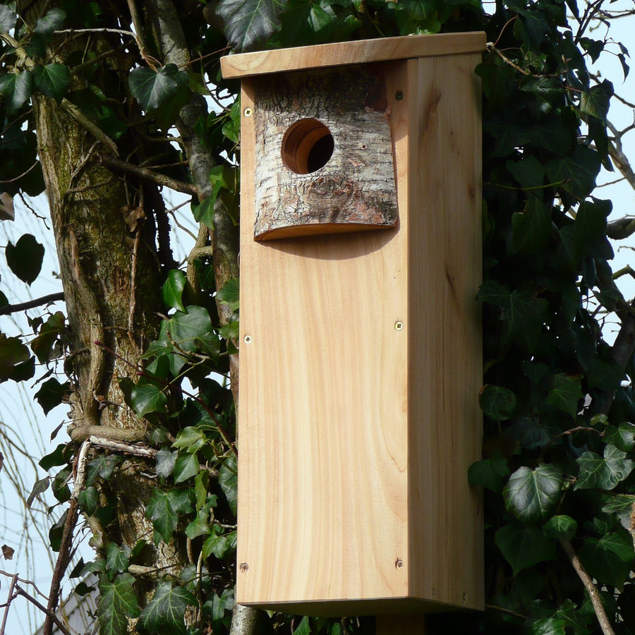 Wildlife World Woodpecker Nest Box